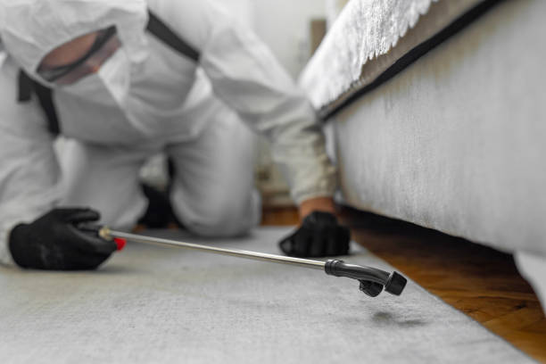 Professional Cockroach Control technician working in McLeod County County, MN